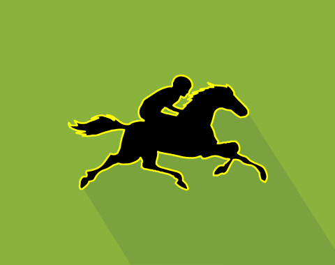 Apostas em cavalos - estamos na pista! Semana calma