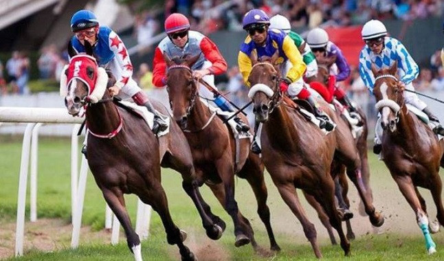 Exemption from fees in horse racing