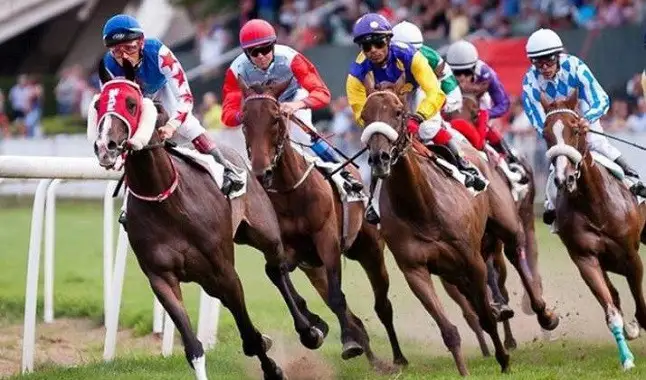 Isenção de taxas em corridas de cavalos