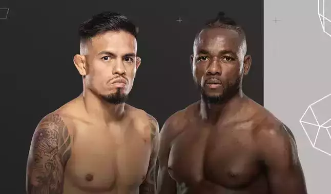Apostar na luta entre Manel Kape e Brandon Royval na UFC: Guia completo e odds