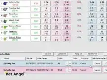 Multi market trading with Bet Angel - Trading on Betfair