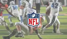 NFL Guide - All About The Sport And The Competition