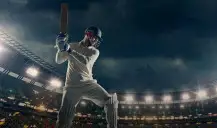 Find out how cricket works