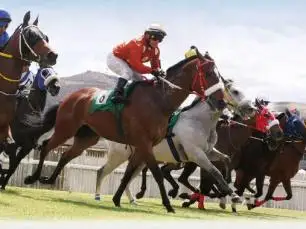 Horses Trading