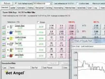 Trading on Betfair - Low risk "painless" trading