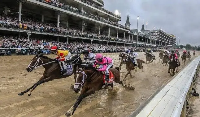 Horse Racing: Kentucky Derby had millions of spectators